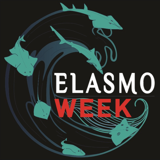 Elasmo Week